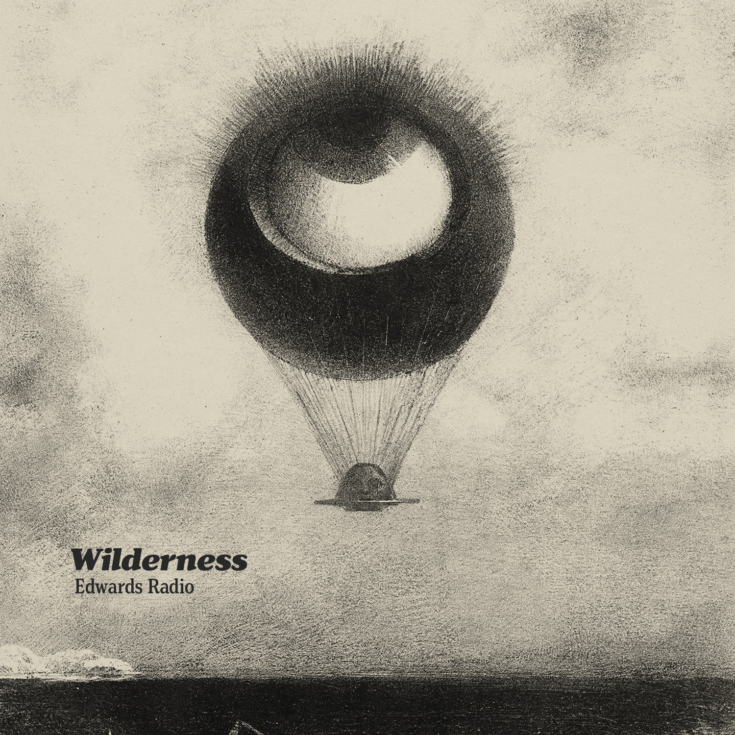 Wilderness album cover